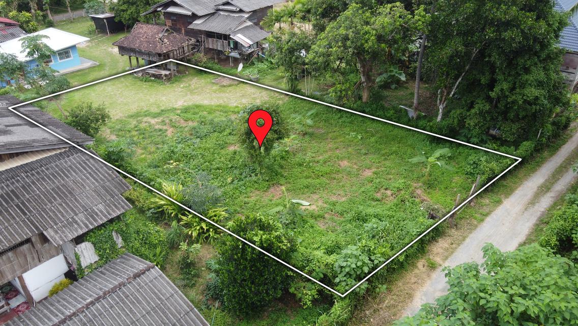 🌄 ขายที่ดิน 149 ตร.ว. ถมแล้ว น้ำ-ไฟ-พร้อม เหมาะสร้างบ้าน 2