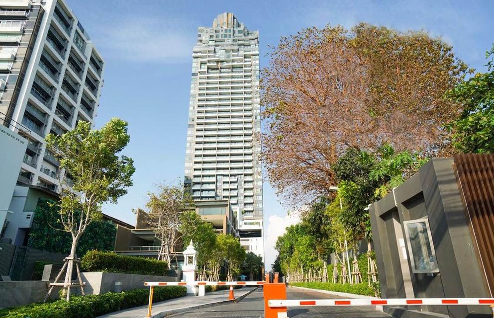Selling Aeras Beachfront 5.6 million 18