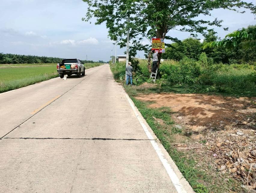 ขายด่วนที่ดินใกล้วัดสโมสร 100 ตรว ติดถนนสาธารณะ ถมแล้ว บึงบอน7 หนองเสือ ปทุมธานี 5