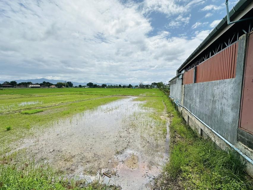 ขายที่ดิน เชียงราย ติดน้ำพุร้อนทุ่งทวี 3