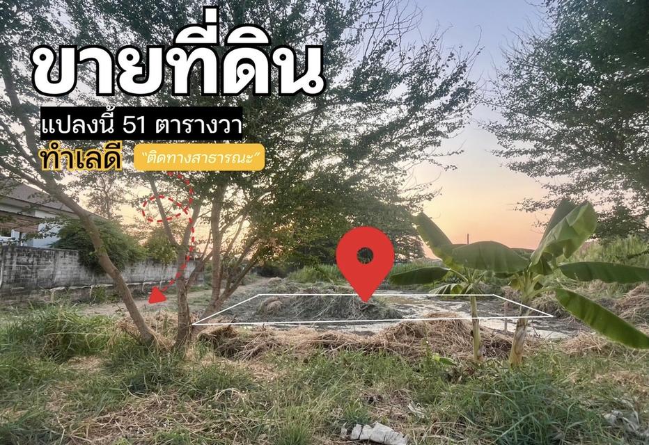 ที่ดินจังหวัดพิษณุโลก 1