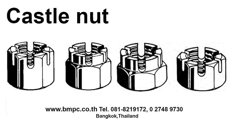 แหวนกะทะ, แหวนจักร, Wedge lock washer, linch PIN, Belleville washer, circlip ring, น๊อตล๊อก, แหวนพับ, Tab washer, wave washer 16