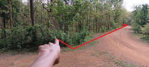 ที่ดินพร้อมสวนป่าสัก 8-2-21 ไร่ ต.ทุ่งยั้ง อ.ลับแล จ.อุตรดิตถ์ รูปย่อยที่ 2