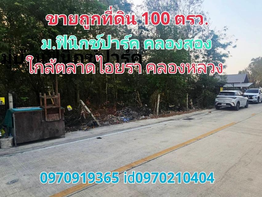 ขาย ที่ดิน ใกล้ตลาดไอยราหมู่บ้านฟินิกซ์ปาร์ค 100 ตร.วา คลองหลวง ปทุมธานี 1