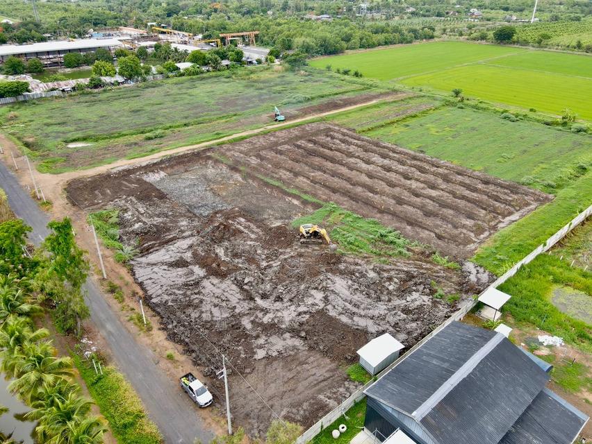 ที่ดินสวยทำเลดี ซ.พนารัตน์ ตำบล บึงบา อำเภอ หนองเสือ ปทุมธานี 11