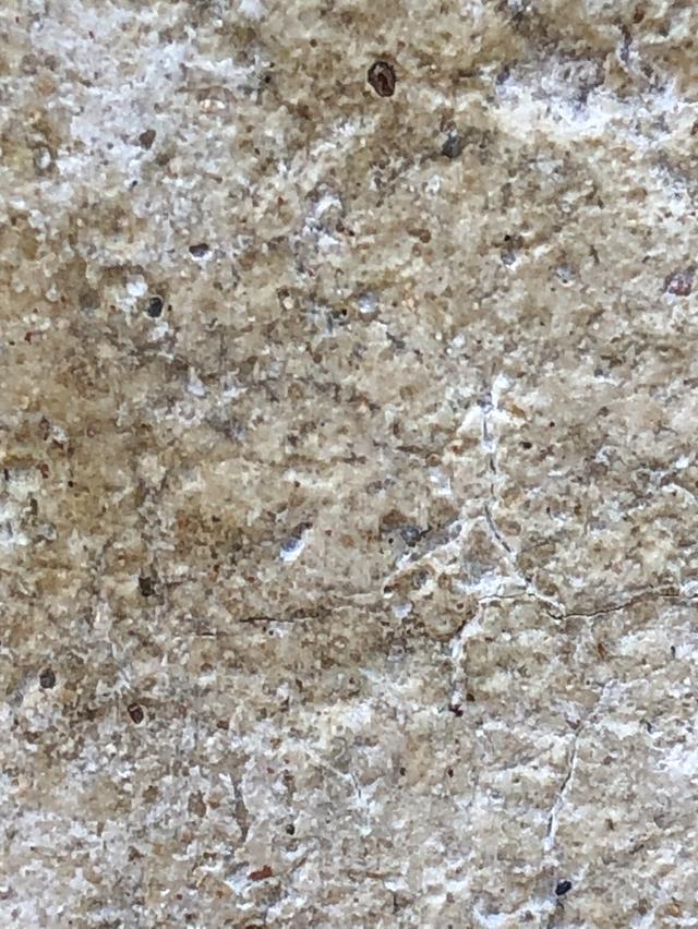 พระสมเด็จวัดระฆังพิมพ์ใหญ่ รูปที่ 5