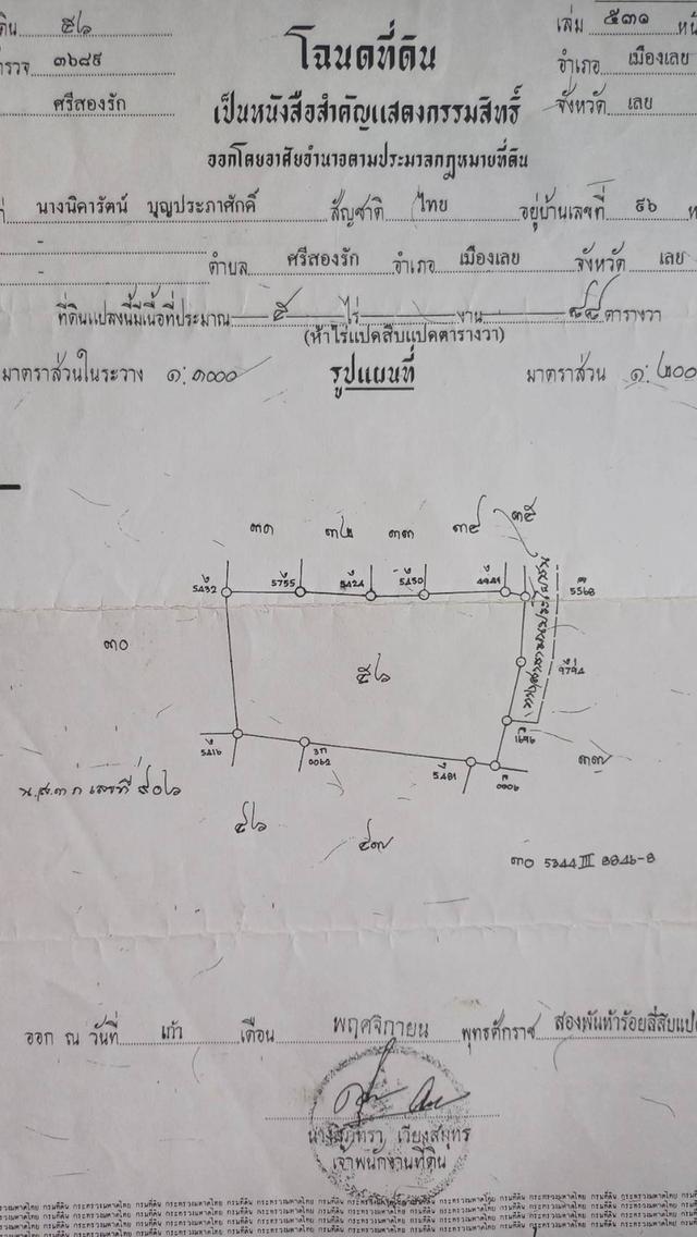ที่ดินจังหวัดเลย 4