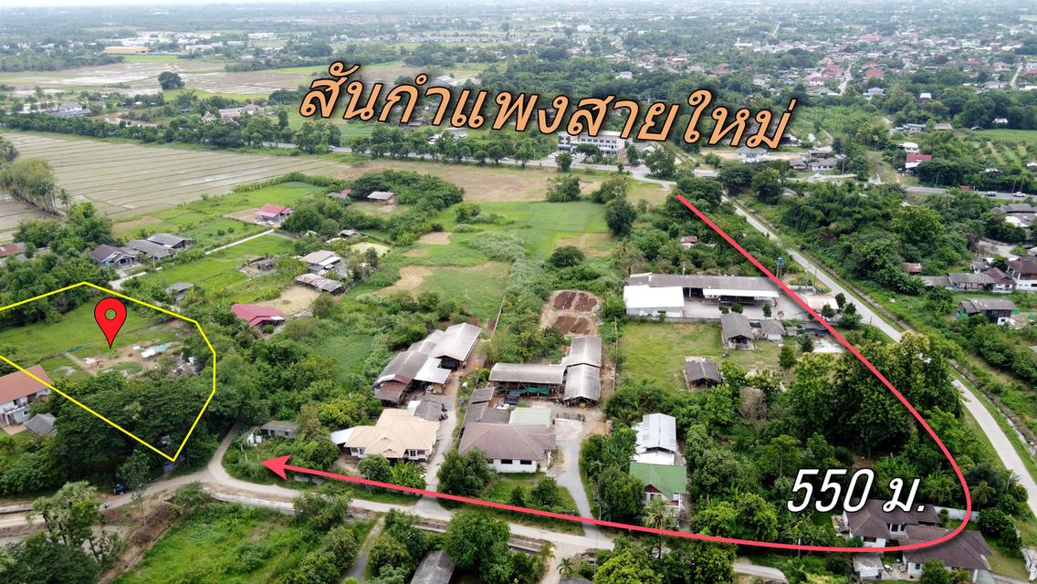  ที่ดิน 3 แปลง 378 วา , 400 วา และ 400 วา ใกล้สันกำแพงสายใหม่ 550 เมตร 2
