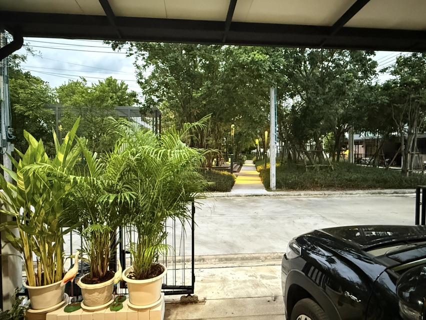 ขายบ้าน ลุมพินี ทาวน์เพลส สุขุมวิท – ศรีนครินทร์ 5
