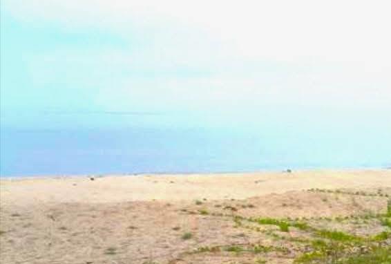 ขายที่ดินติดหาดบ้านปากดวด กลาย ท่าศาลา นครศรีธรรมราช 753.9 ตรว. 7