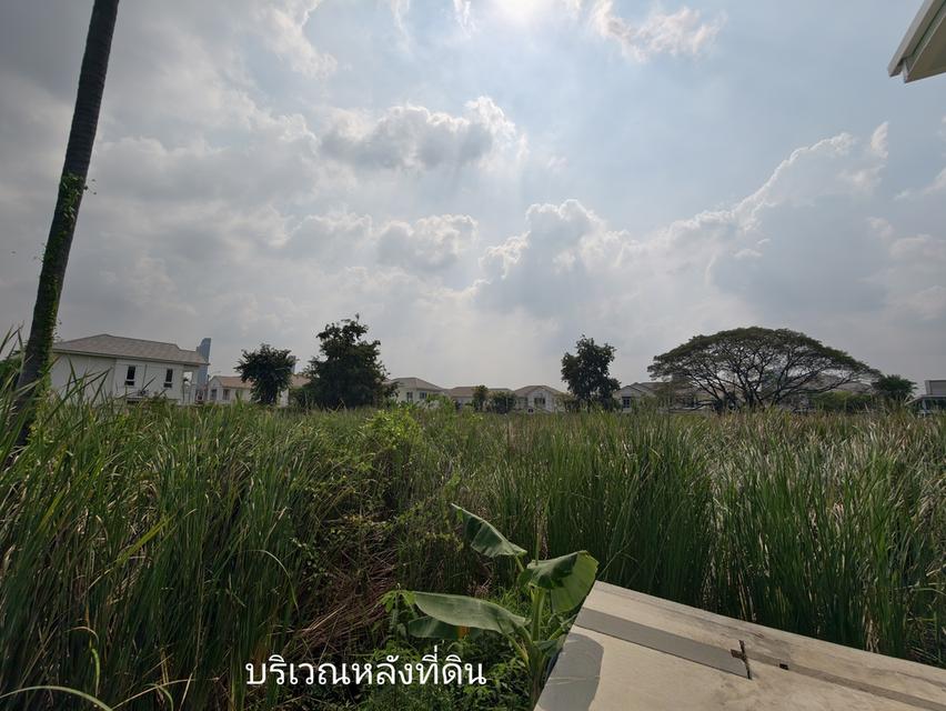 ขายที่ดินเปล่า ไทรม้า นนทบุรี ใกล้แม่น้ำเจ้าพระยา ขายยกแปลง เจ้าของขายเอง 8