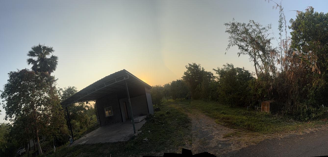 ที่ดินวิวเขาพร้อมบ้าน 11
