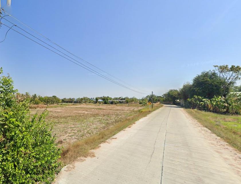 ขายที่ดินหนองขยาด 2 ไร่ ติดถนนคอนกรีต ใกล้แยกมาบโป่ง(นิคมอมตะ)9กม. อ.พนัสนิคม จ.ชลบุรี 2
