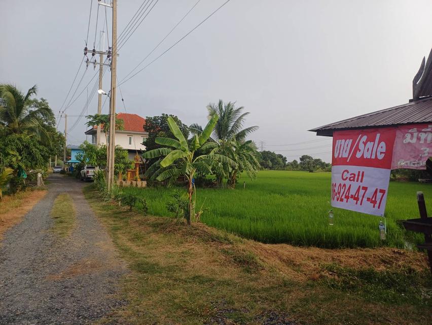 ขายที่ดิน 15 ไ่ร่ ไทรน้อย  8
