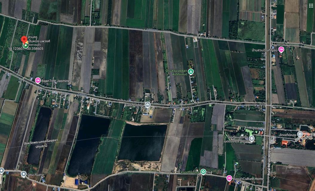 ที่ดิน ใกล้ วัดเจดีย์หอย 1