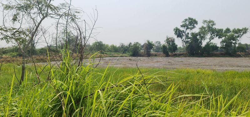 ขายที่ดิน รังสิตคลอง 13 ติดถนน ไร่ละไม่ถึงล้านโทร 061-9419-639 2