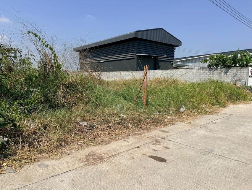 ขายด่วนที่ดิน 180 ตรว ติดถนนสาธารณะ ถมแล้ว  ซอยเปาร์อิน 16 อ.ลาดหลุมแก้ว จ.ปทุมธานี 4