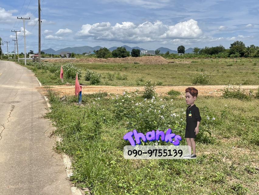ที่ดิน 1