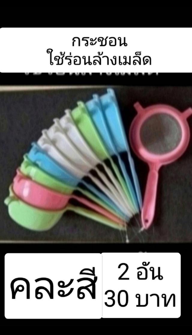 ป้ายติดชื่อต้นไม้สีสัน 8
