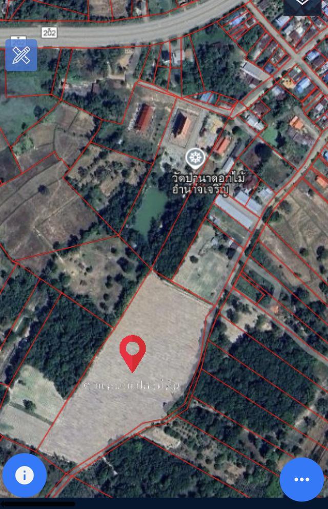 ที่ดิน 1