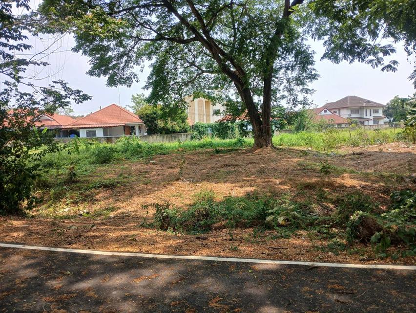ขายที่ดินโซนด้านหลังโรงเรียนวารีเชียงใหม่ เดินทางสะดวก เข้า-ออกได้หลายทาง บรรยากาศร่มรื่น เงียบสงบ เพียงตารางวาละ 24,725 บาท 13