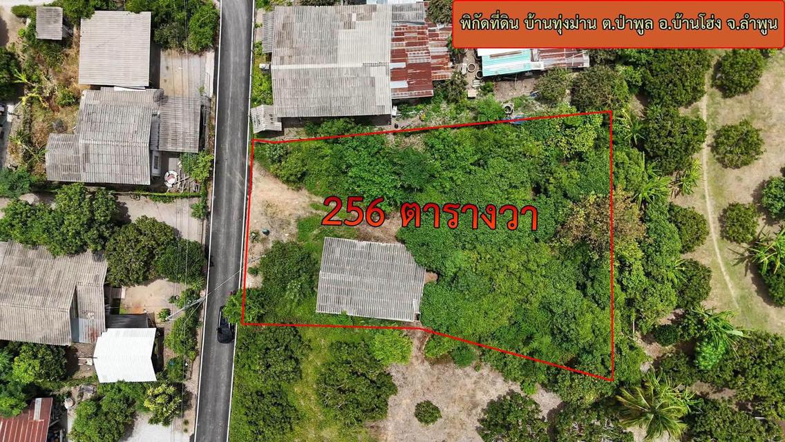 ที่ดินพร้อมสิ่งก่อสร้าง 2
