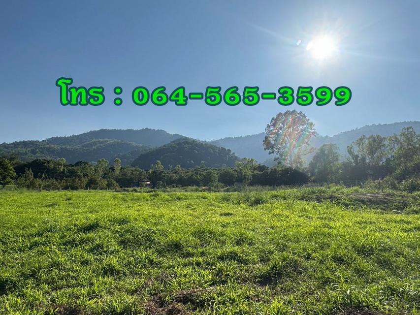 ขายที่ดินใกล้เขาใหญ่ 432 ตร.วา ใกล้ถนนธนะรัชต์ ตำบลหมูสี ปากช่อง นครราชสีมา 3 นาที ถึงทางขึ้นเขาใหญ่ 1