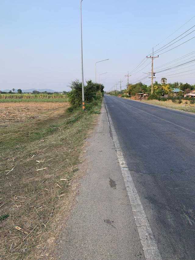 ที่ดินติดถนนโพธาราม 20 ไร่ 1