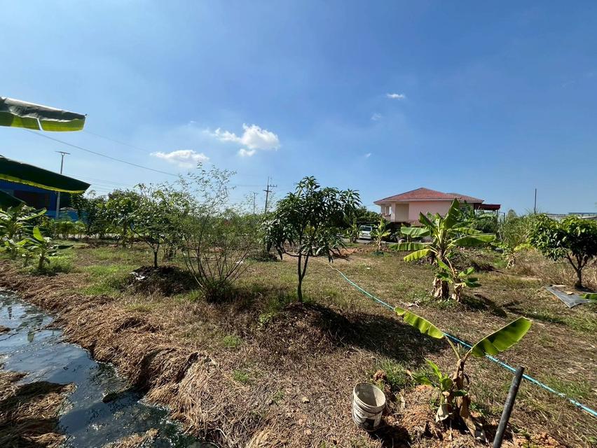 ขายที่ดินเปล่า ซอยบงกช40 คลองสอง คลองหลวง 5