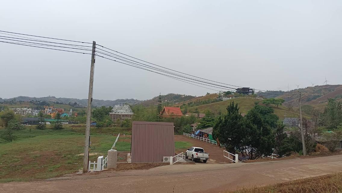 ทีดินเพชรบูรณ์ อำเภอเขาค้อ ตำบล ทุ่งสมอ 5