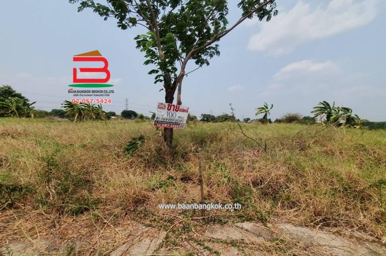 ที่ดินเปล่า หลังสถานีอนามัยบึงชำอ้อ คลองแปด เนื้อที่ 100 ตรว. ถนนรังสิต-นครนายก ตำบลบึงชำอ้อ อำเภอหนองเสือ จังหวัดปทุมธานี 2
