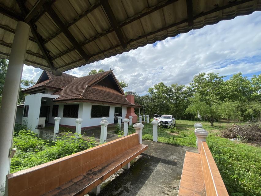บ้านพร้อมที่ดิน 3