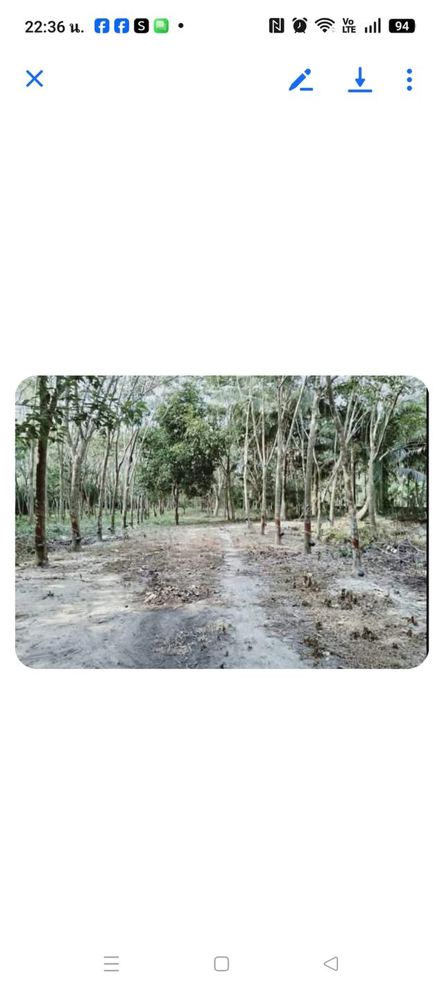 บ้าน1ห้องนอน 2ห้องน้ำและที่ดิน 4