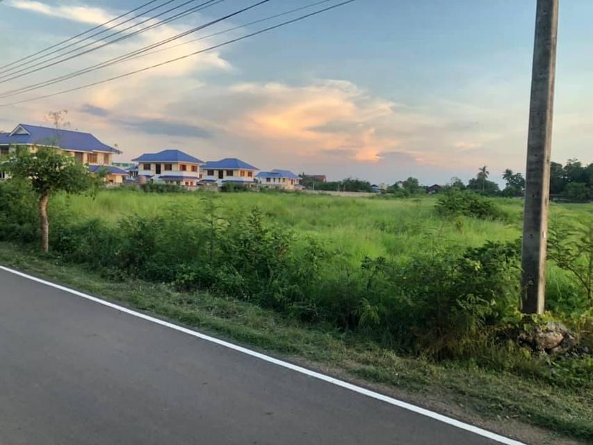 ขายที่ดินเปล่า วิเชียรบุรี 4
