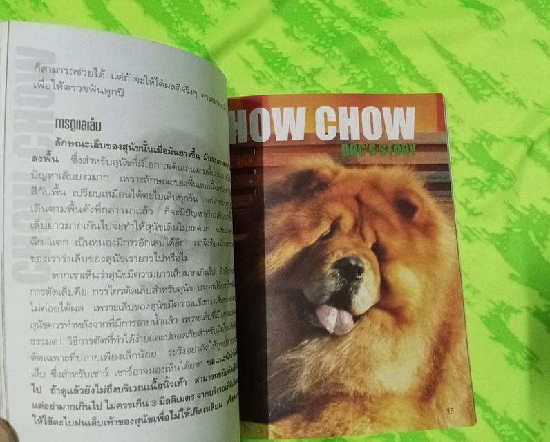 หนังสือคู่มือการเลี้ยง เชาเชา 7