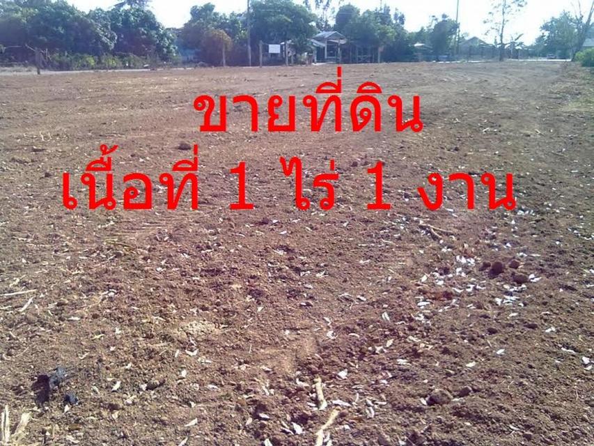 ขายที่ดิน เนื้อที่ 1 ไร่ 1 งาน 1