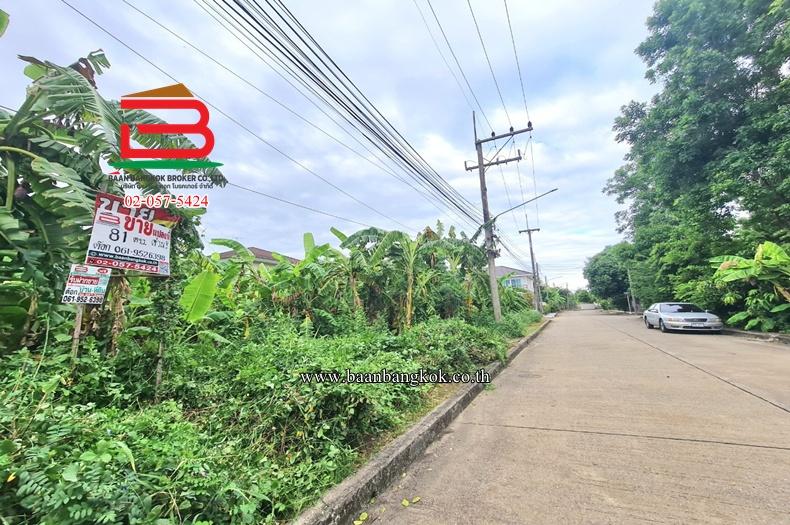 ที่ดินเปล่า หมู่บ้านปาริชาต 345 (โซน B ซอย 15) เนื้อที่ 81 ตร.ว ตำบลบางคูวัด อำเภอเมืองปทุมธานี ปทุมธานี 4