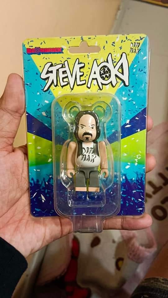  Bear Brick Steve Aoki100%