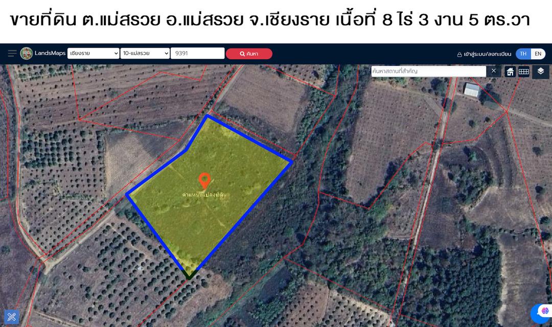 ขายที่ดิน อ.แม่สรวย จ.เชียงราย 8-3-5 ไร่ เพียง 2.5 ล้าน  3