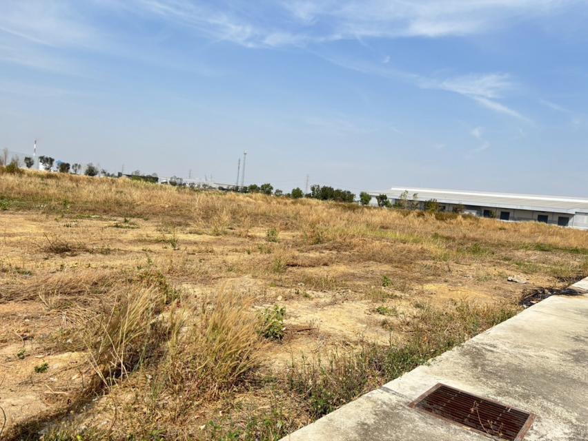 ขายที่ดินผังสีม่วง อุตสาหกรรม | ศรีมหาโพธิ ปราจีนบุรี โอกาสหายากในโซนศักยภาพ EEC 4