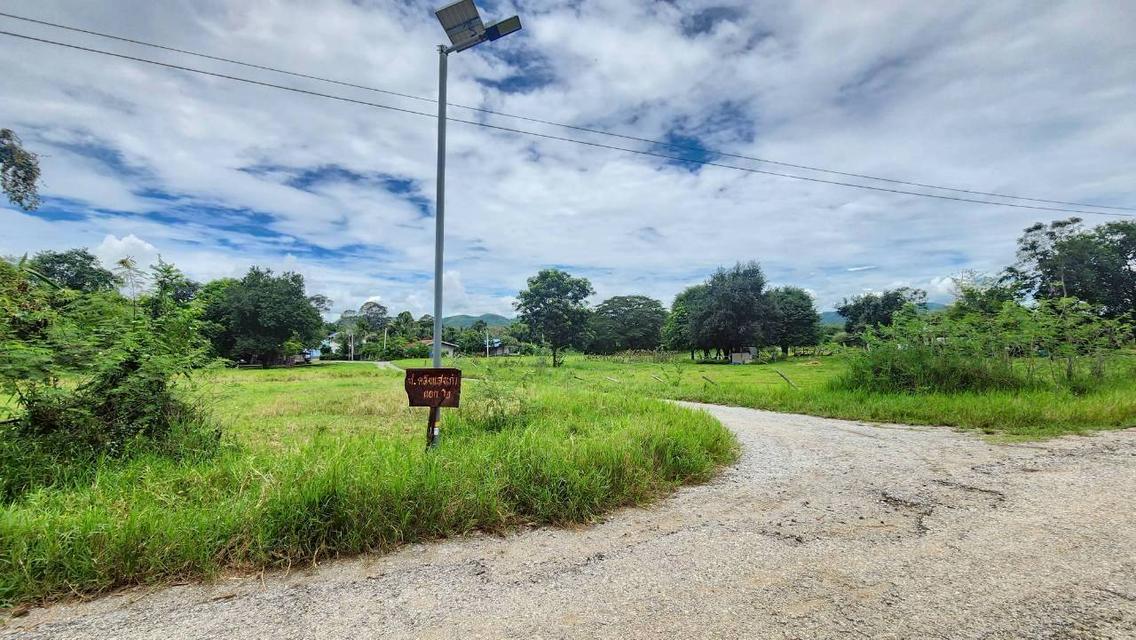 ขายที่ดินหลังสถานีรถไฟความเร็วสูงปากช่อง   บ.เขาเสด็จ / ท่างอย  | ใกล้ริมน้ำ & วิวเขา ( น.ส.3ก ) ราคาพิเศษ!! 11