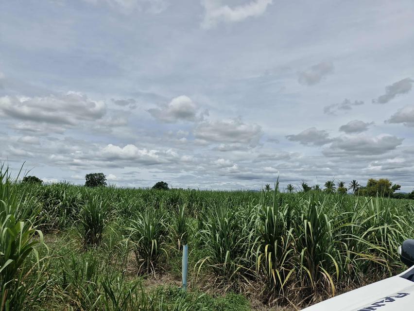 ขายที่ดิน23 ไร่2 งาน25 ตรว ครึ่ง 9