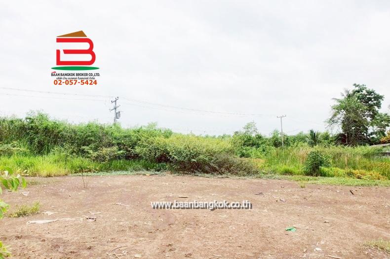 ที่ดิน แปลงสวย ซอยเอราวัณ 21 เนื้อที่ 2 ไร่ ถนนเอราวัณ 1 อ.คลองหลวง จ.ปทุมธานี 5