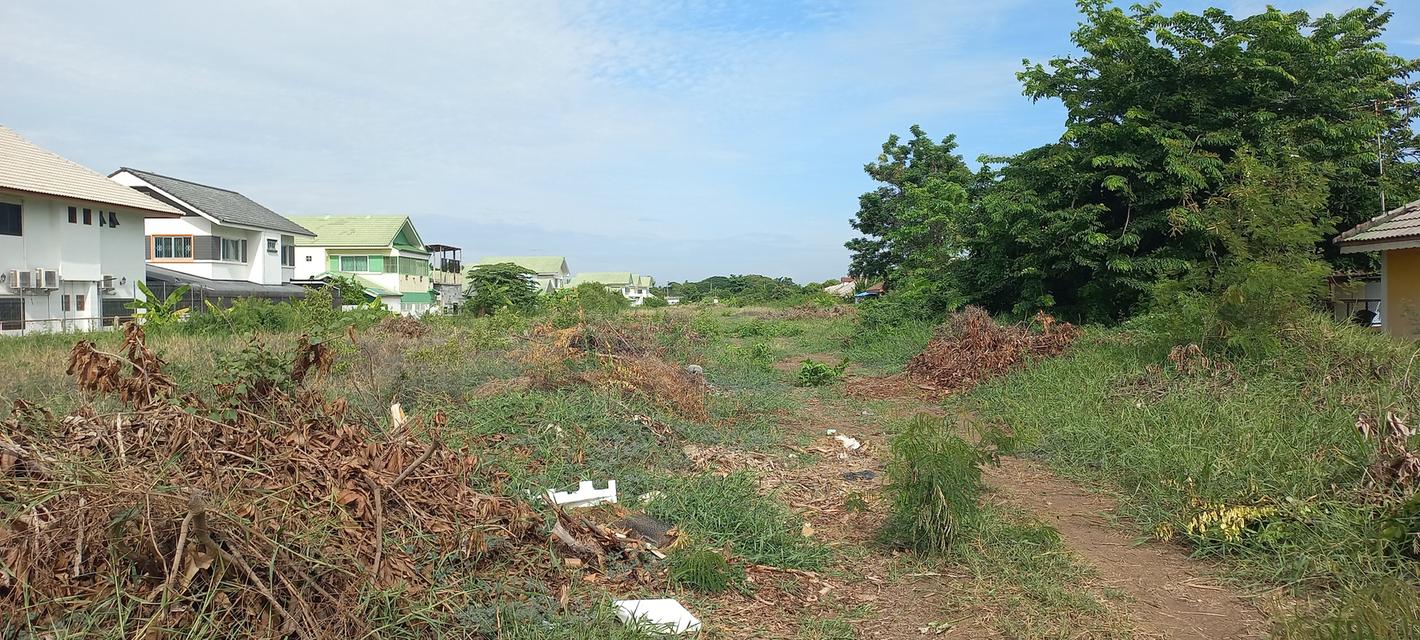 ที่ดิน ทำเลดี ในเขต อ.พระนครศรีอยุธยา 1