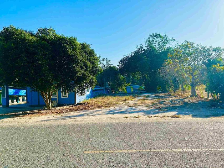 ขายที่ดินแม่น้ำคู้ถมแล้ว 120 ตรว. ใกล้นิคมWHA4(แยกพวงมาลัย)-2กม. อ.ปลวกแดง จ.ระยอง 2