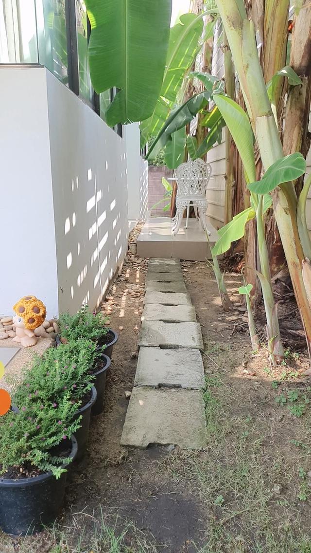 บ้านเดี่ยว 2ชั้น 4นอน 3น้ำ 2จอด 5