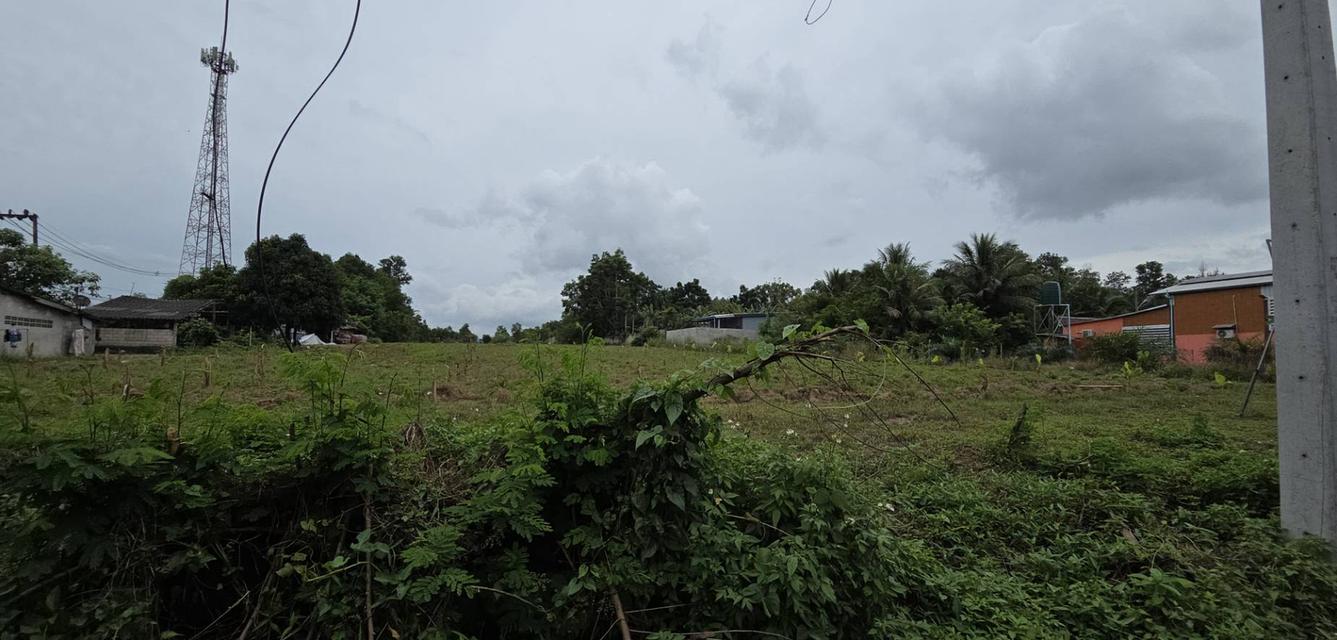 ที่ดิน ทำเลสวย กระบี่ 2