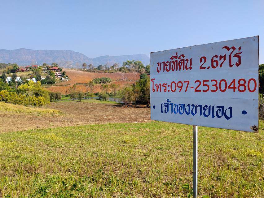 ที่ดินเขาค้อ วิวภูเขา ถนน น้ำ ไฟ พร้อม 3