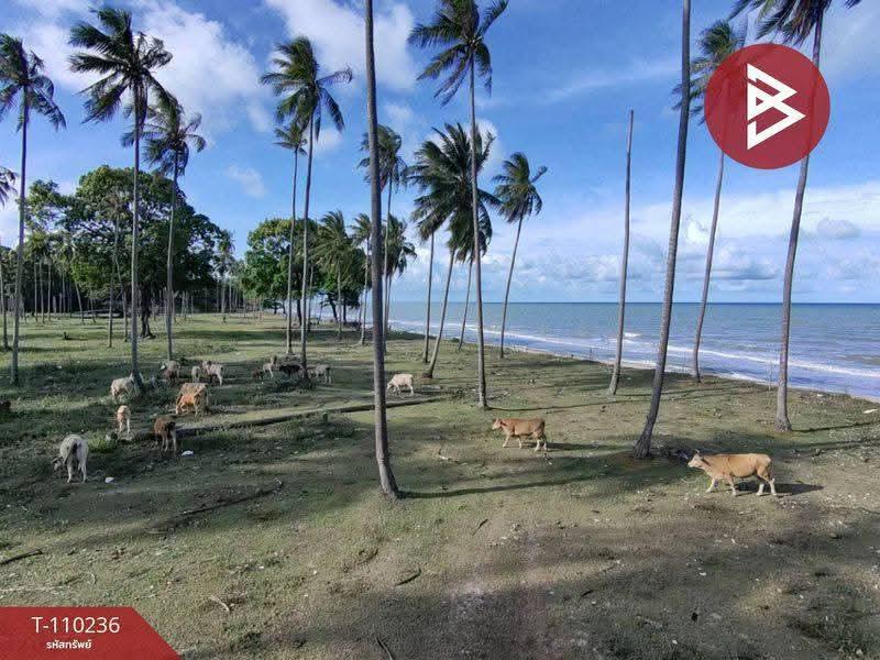 ขายที่ดินติดทะเล เนื้อที่ 45 ไร่ 3 งาน 21.0 ตารางวา ตำบลสระแก้ว ท่าศาลา นครศรีธรรมราช 14