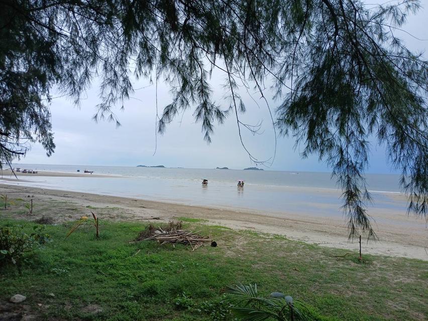 ที่ดินห่างชายทะเลหาดสวนสน จ.ระยอง 500 เมตร 10